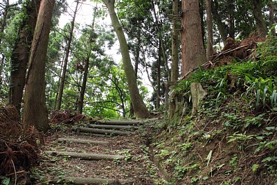 勾配はきついままです