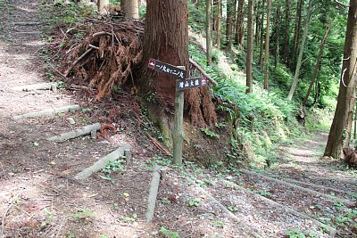 下の方がいかに急かわかります