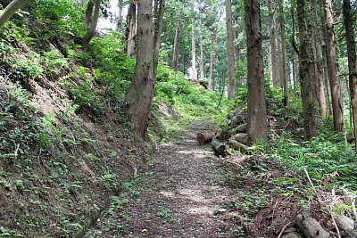 最後にこの左側の土塁から狙い撃たれたりして