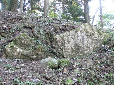 う～む、石垣跡といってもこれでは・・・