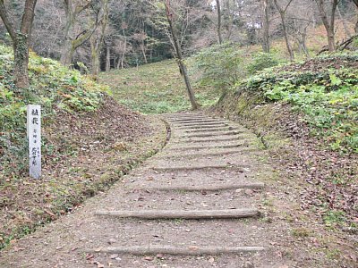 ウラナギ口は普段はこんな状態です