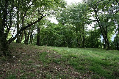 二の丸ですが・・・熊に荒らされたようです