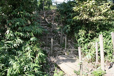 三の丸直下の空堀と土橋