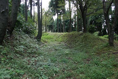 城の西側を囲む空堀と土塁