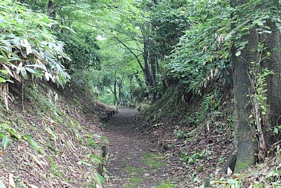 下りが続きます