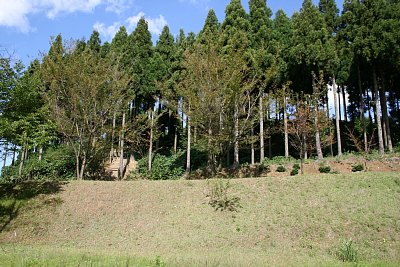 馬場広場から見た松根城全景