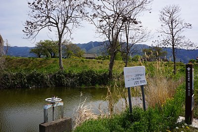 新堀には水があります