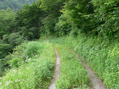 この道路は以前は小口川軌道があったようです