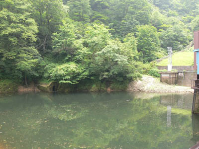 ダム湖は、極めて小さい