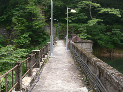 左岸側から天端を見る