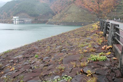 堤体上流側を見る