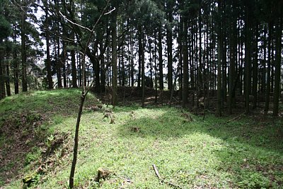 御館館東副郭の南側を守る土塁