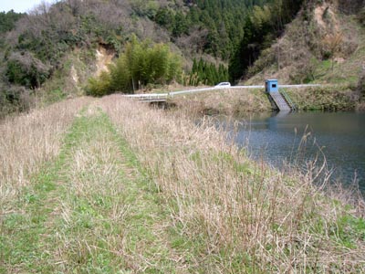 左岸から天端