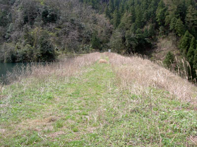天端を右岸から