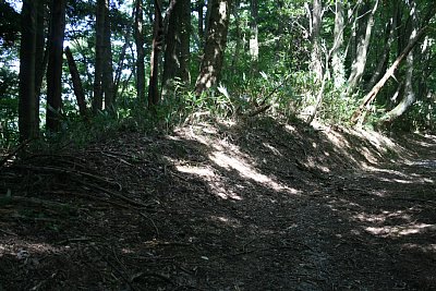 土塁が残っています