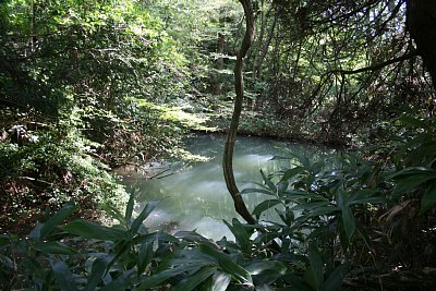 なぜか水堀が・・・