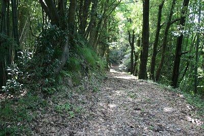 搦手口から主要部まではかなりの距離があります