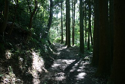 塹壕が続きます