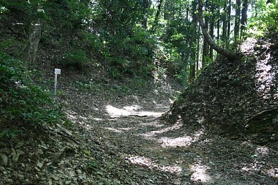 搦め手口から二の丸の途中にある桝形地形