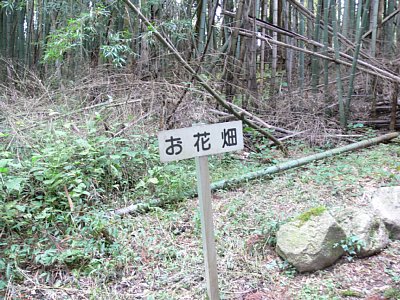 お花畑は通路そばにある郭です