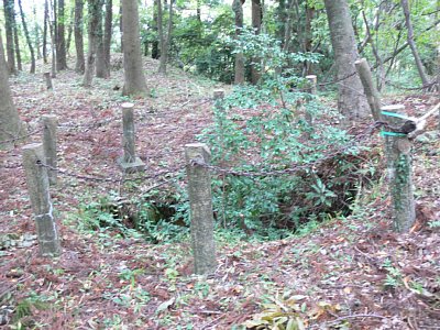 野崎屋敷跡は独立性の高い郭です