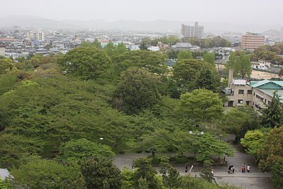 日本庭園を天守から