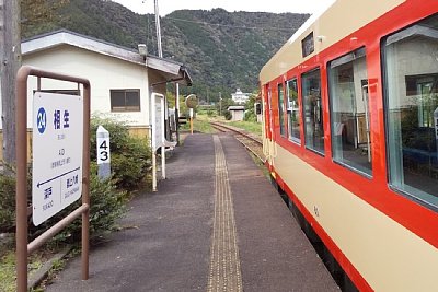 ホーム