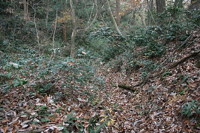 長沢東城大手道