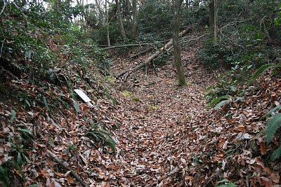 長沢東城大手口 枡形地形です