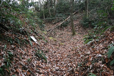 長沢東城大手口　枡形地形です