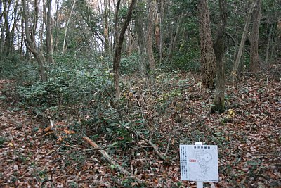 長沢東城C郭