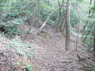 中心部へ向かう通路が土塁により屈曲しています