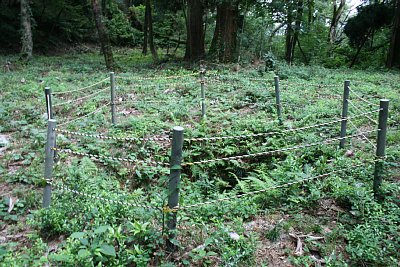 主郭の中央にある井戸跡