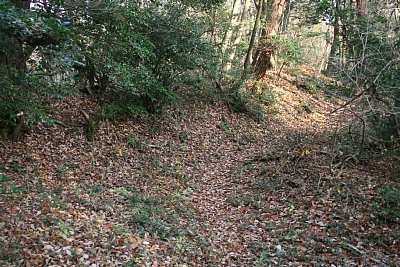 城への通路の左側には土塁があります