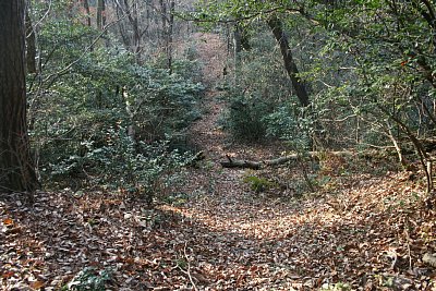 城への通路が急勾配になっています