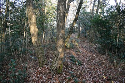 長沢西城B郭