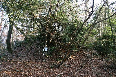 長沢西城狼煙台跡 もっとも標高が高い地点です