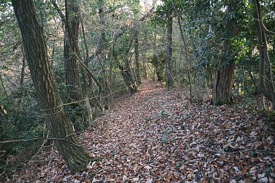 狼煙台跡からA郭への通路は急勾配です