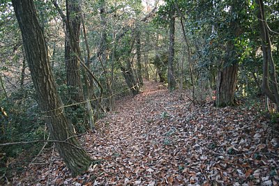 狼煙台跡からＡ郭への通路は急勾配です