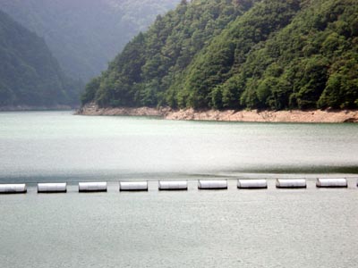 梓湖