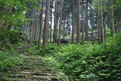 古道から本丸方面を見上げる