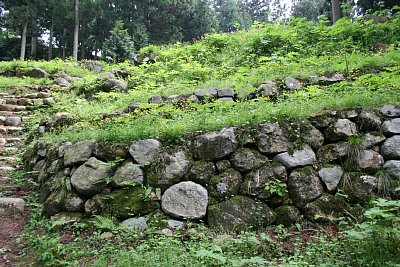 桜馬場北側の石垣群