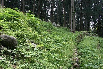 桜馬場北側の石垣群は３段に分かれている