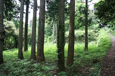 温井屋敷跡