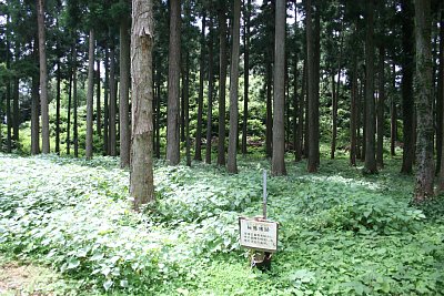 七尾城桜馬場跡