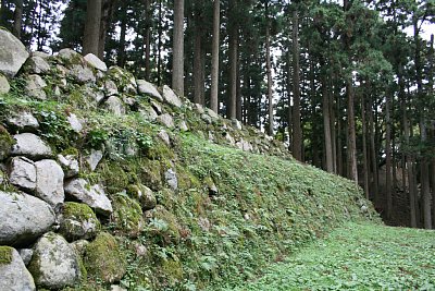 石垣も草が生い茂っています