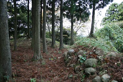 本丸西側の小曲輪にも石垣が