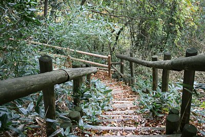 二の丸から三の丸への通路は狭く険しい