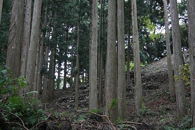 桜馬場西側の石垣群