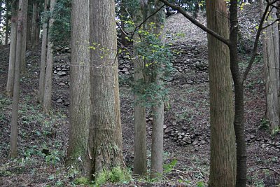 ここの石垣は比較的小規模です